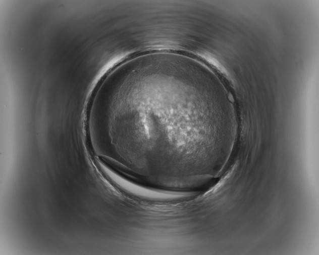 X0000087351325200704271412