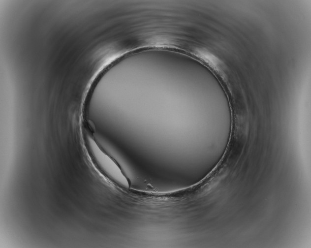 X0000087351331200704271412