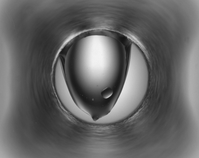 X0000087351332200704271412
