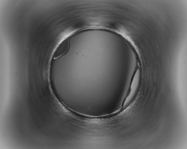 X0000087351333200704271412