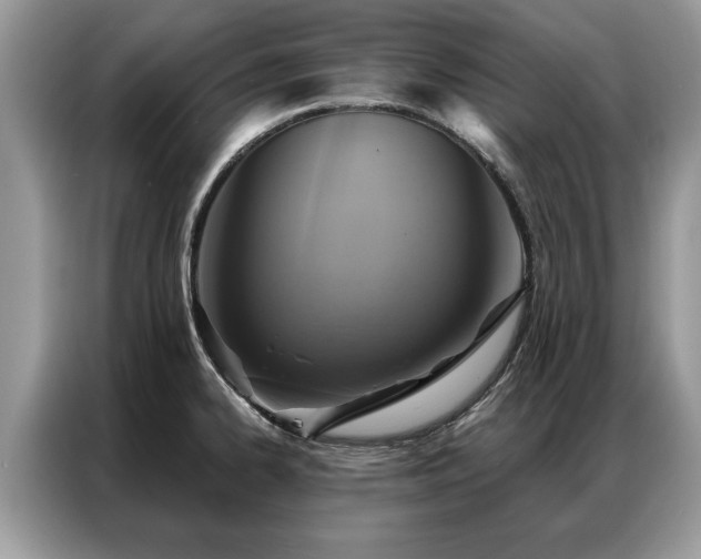 X0000087351334200704271412