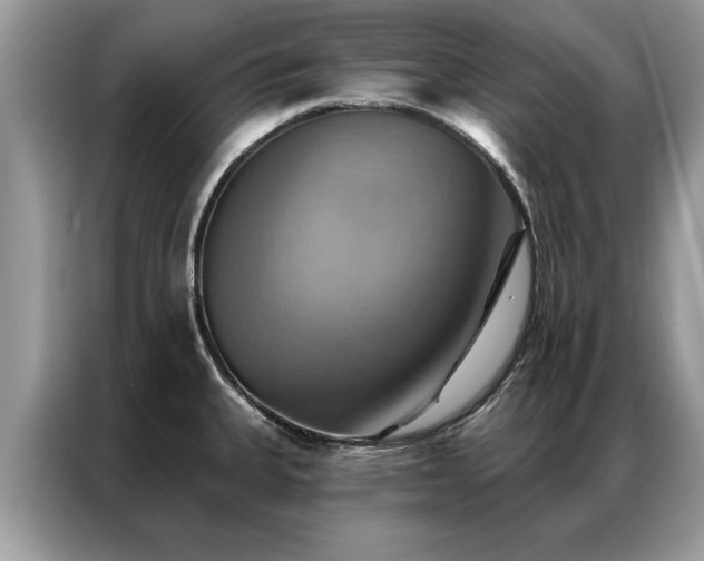 X0000087351335200704271412