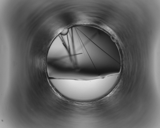 X0000087351337200704271412