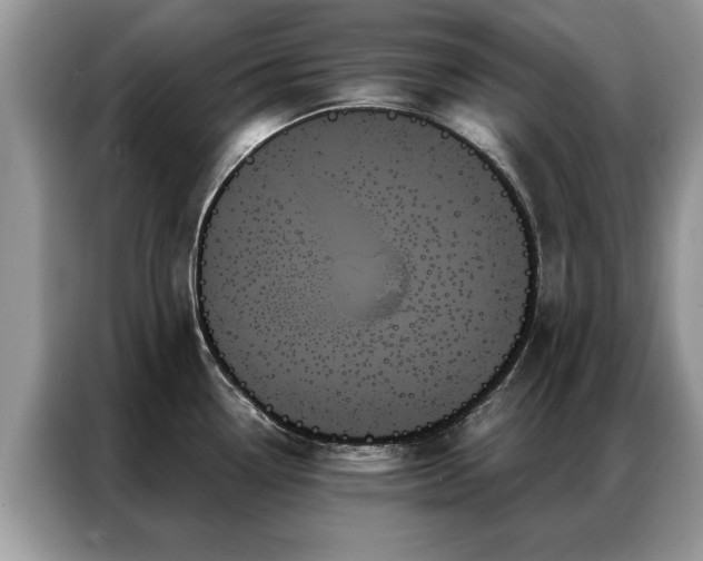 X0000087351338200704271412