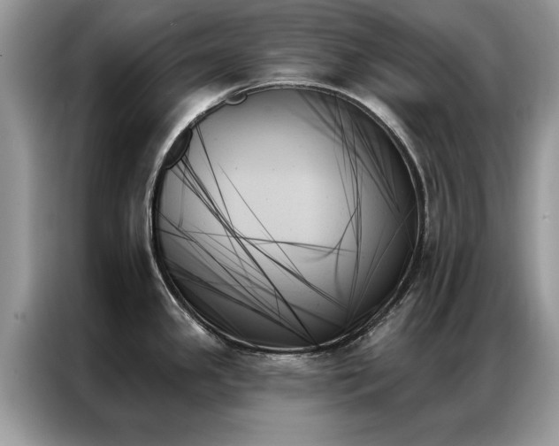 X0000087351341200704271413