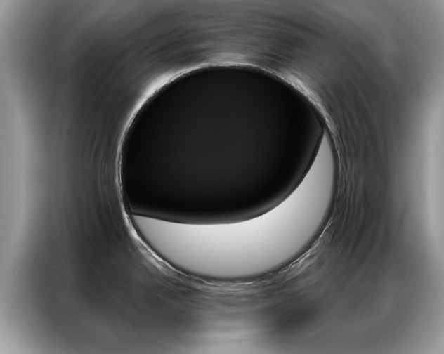 X0000087351342200704271413