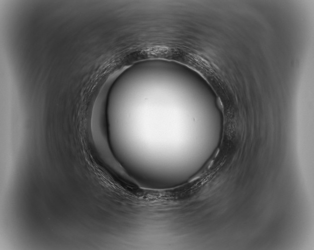 X0000087351345200704271412