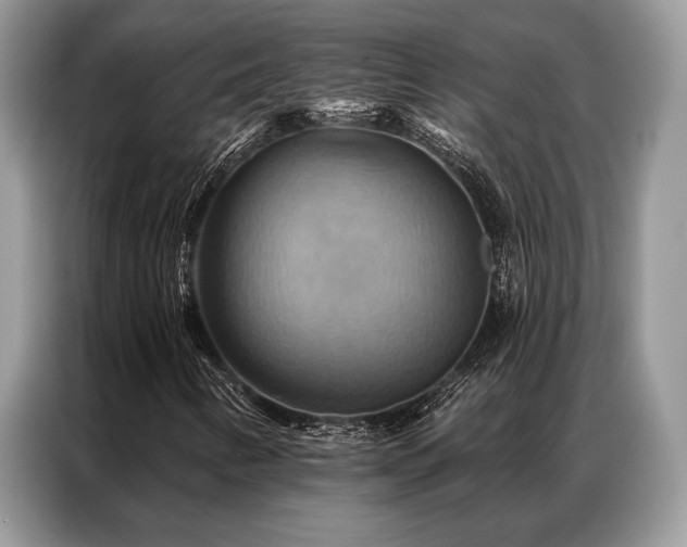 X0000087351346200704271412