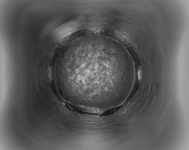 X0000087351347200704271412