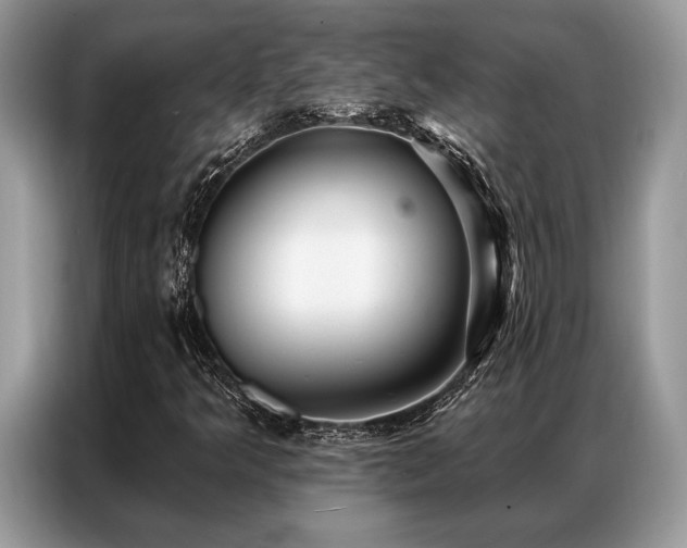 X0000087351349200704271412