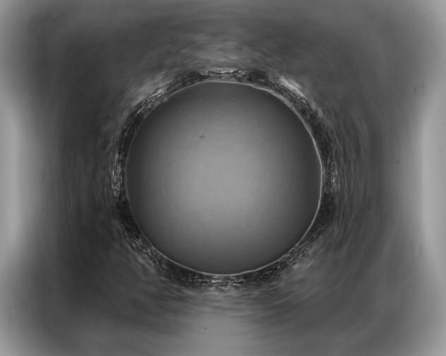 X0000087351350200704271412