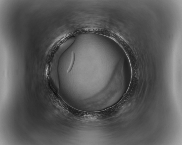 X0000087351351200704271412