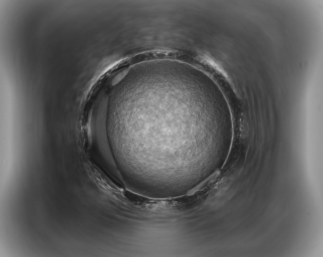 X0000087351352200704271412