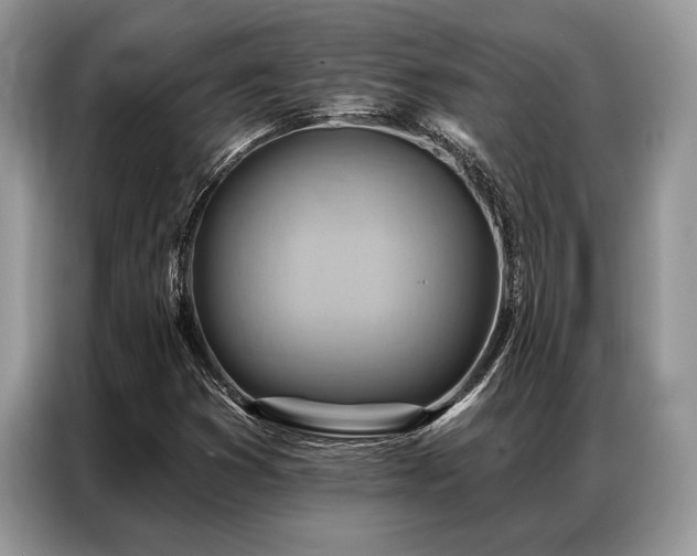 X0000087351353200704271412