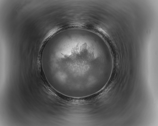 X0000087351354200704271412