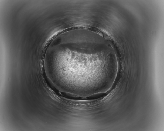 X0000087351355200704271412