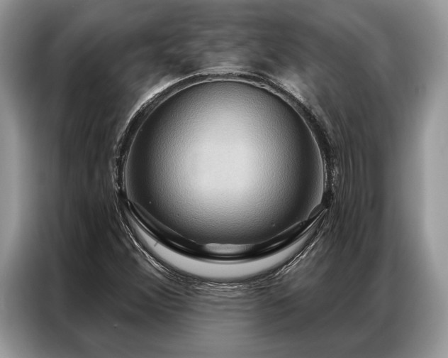 X0000087351356200704271412