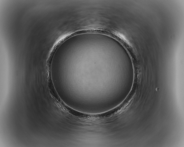 X0000087351358200704271412