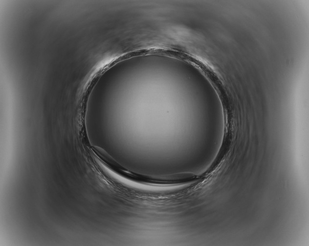X0000087351359200704271412