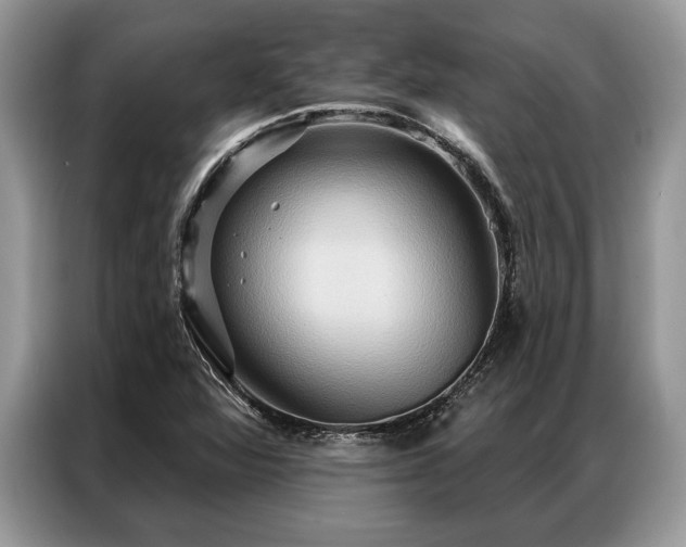 X0000087351360200704271412