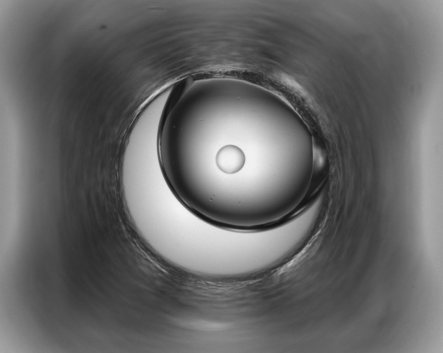 X0000087351361200704271412