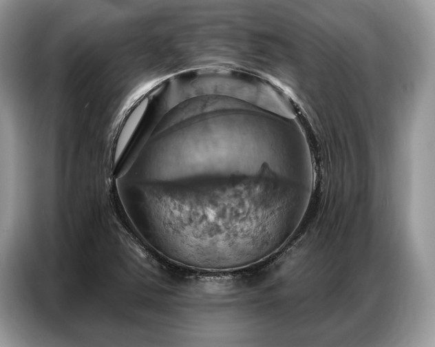 X0000087351363200704271412