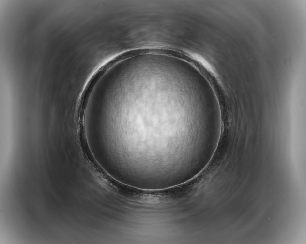 X0000087351364200704271412