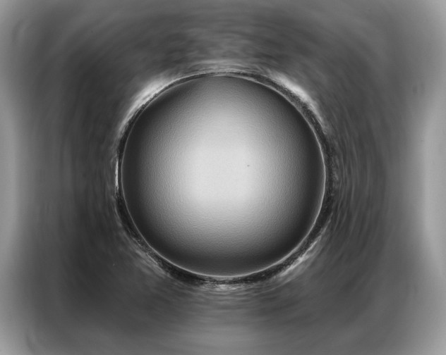 X0000087351365200704271412