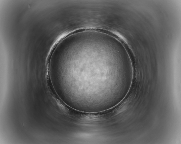 X0000087351366200704271412