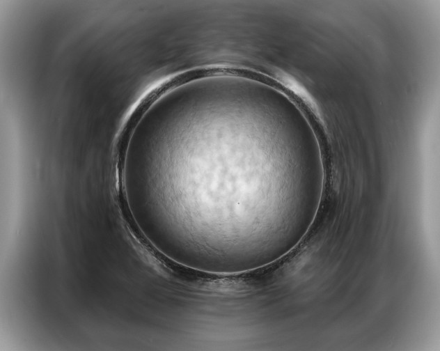 X0000087351368200704271412