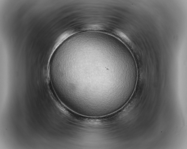 X0000087351370200704271412