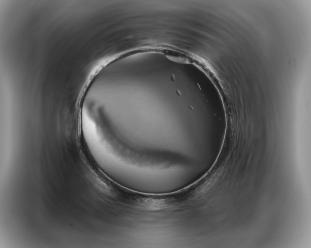 X0000087351371200704271412