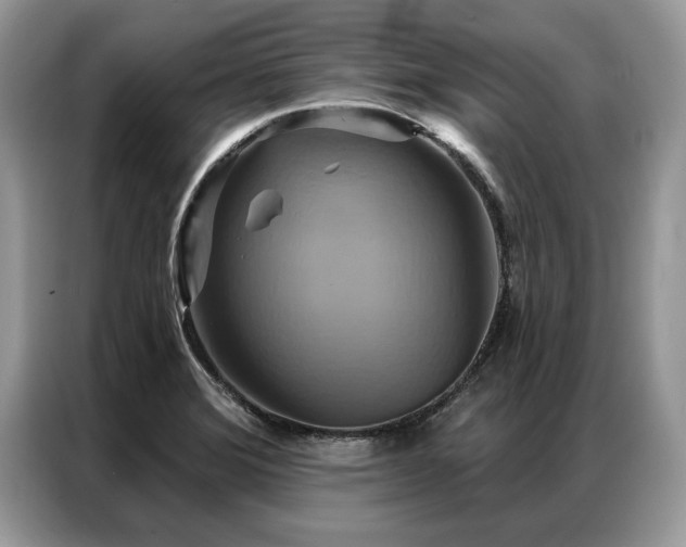 X0000087351372200704271412