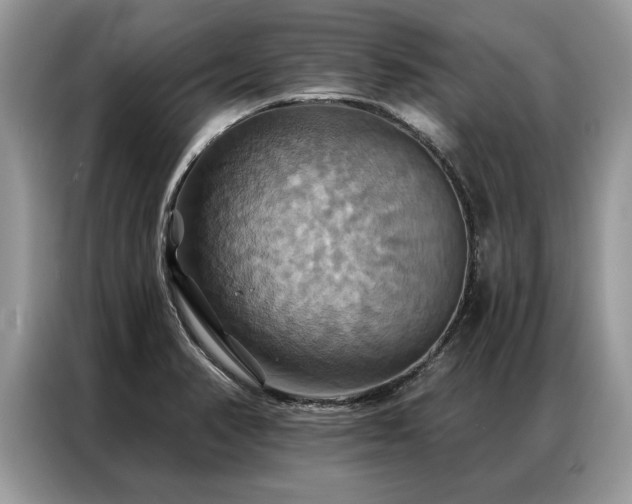 X0000087351374200704271412