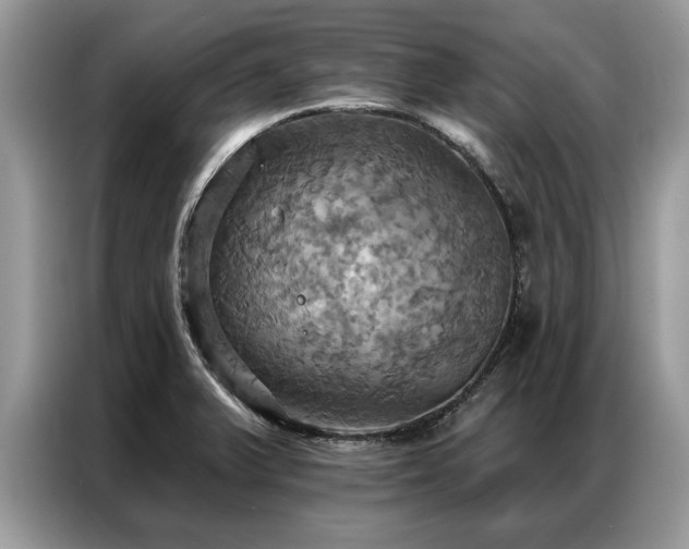 X0000087351375200704271412