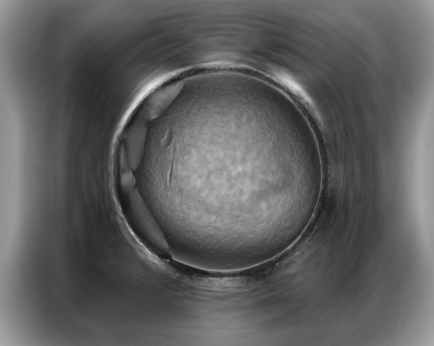 X0000087351376200704271412