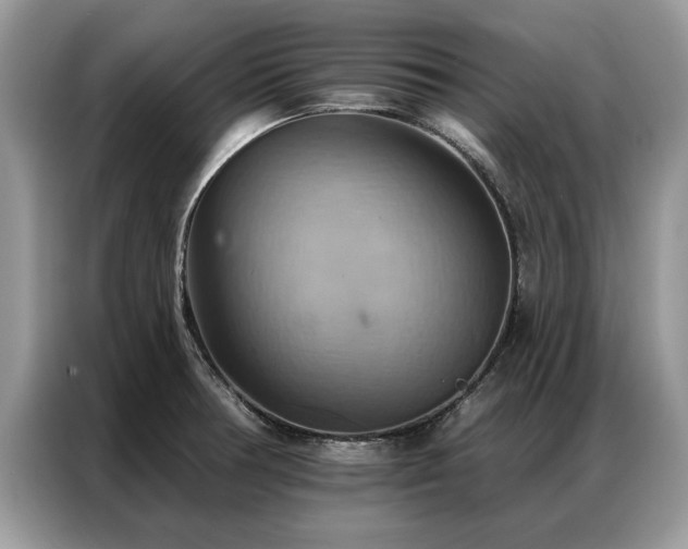 X0000087351378200704271412