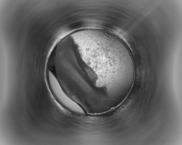 X0000087351379200704271412
