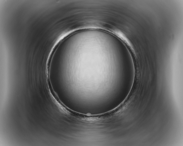 X0000087351380200704271412