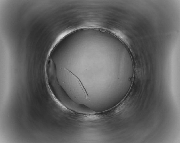X0000087351382200704271412