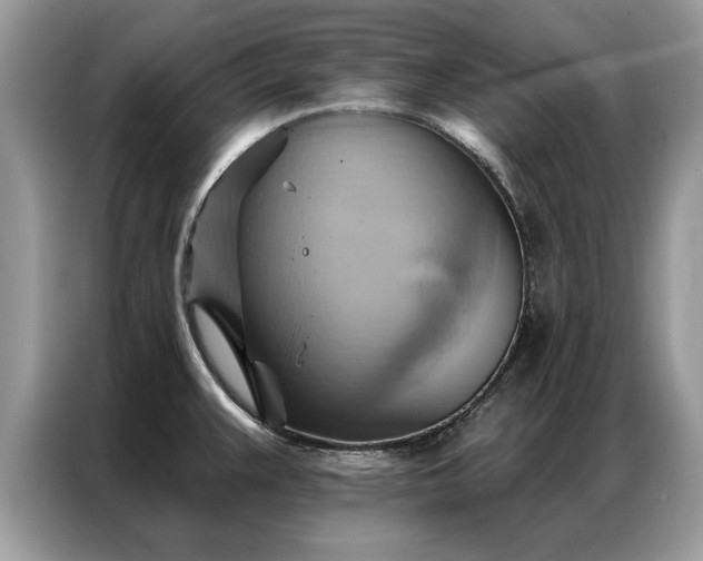 X0000087351383200704271412