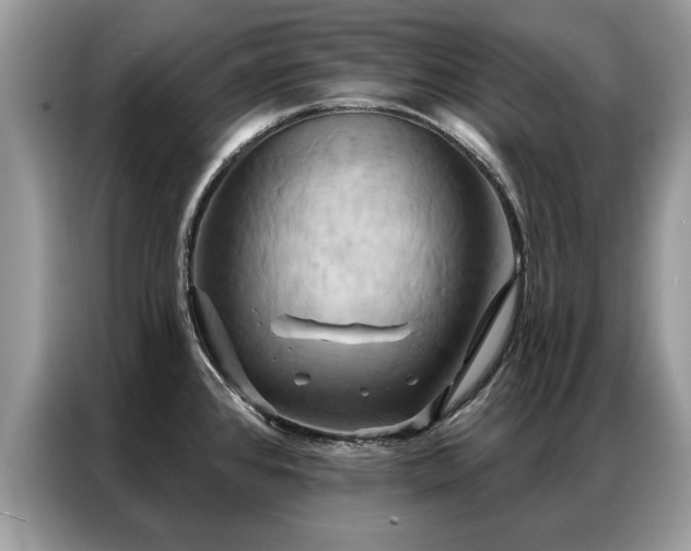 X0000087351384200704271412