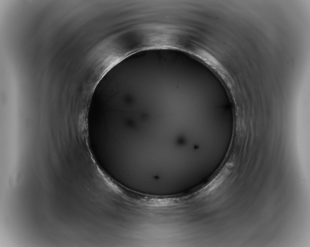 X0000087351385200704271412