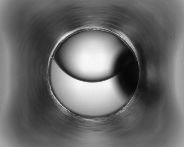 X0000087351388200704271412