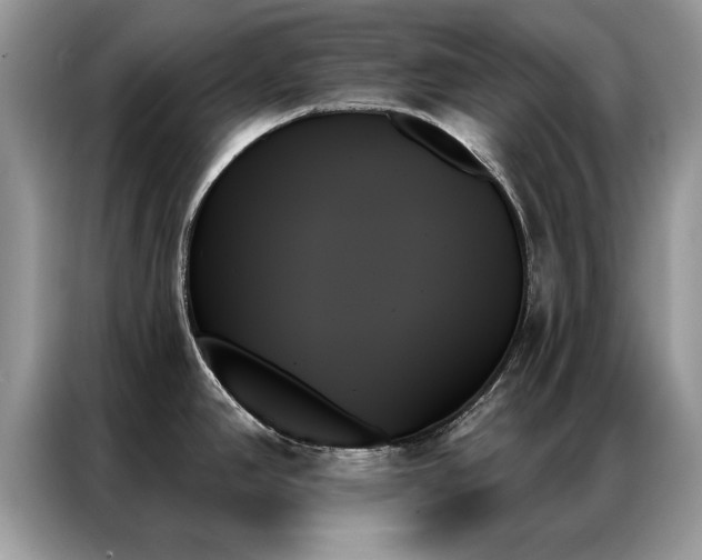 X0000087351390200704271411