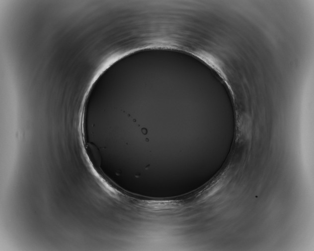 X0000087351391200704271411