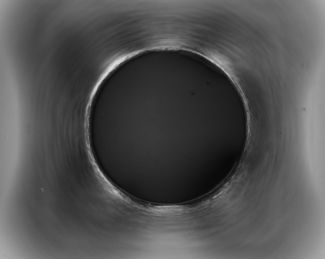 X0000087351392200704271411