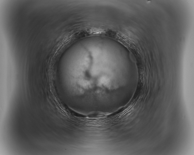 X0000087351393200704271411