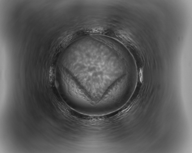 X0000087351395200704271411