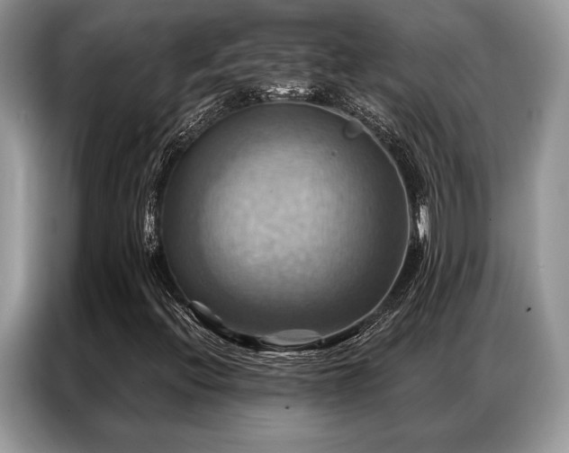 X0000087351396200704271411